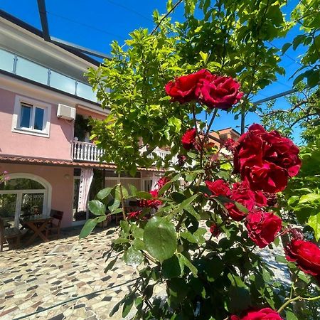 Apartments Tereza Novigrad Istria Εξωτερικό φωτογραφία