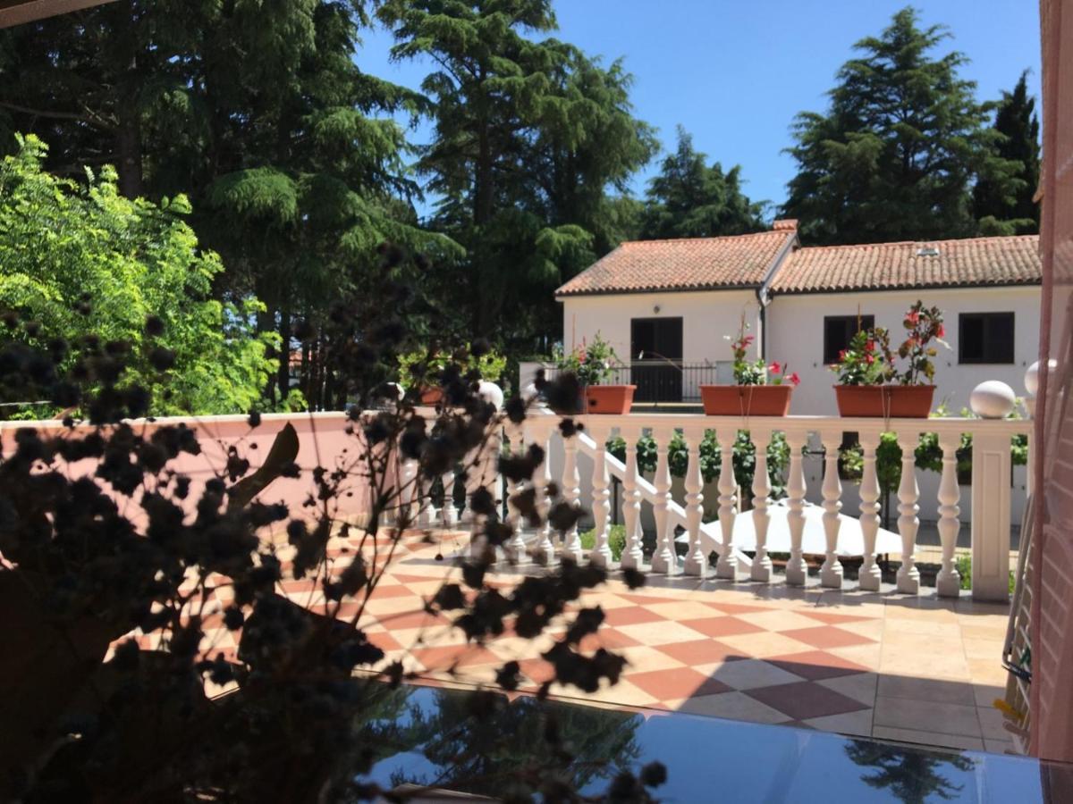 Apartments Tereza Novigrad Istria Εξωτερικό φωτογραφία