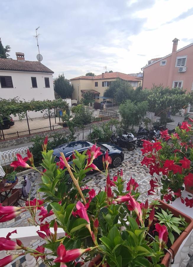 Apartments Tereza Novigrad Istria Εξωτερικό φωτογραφία