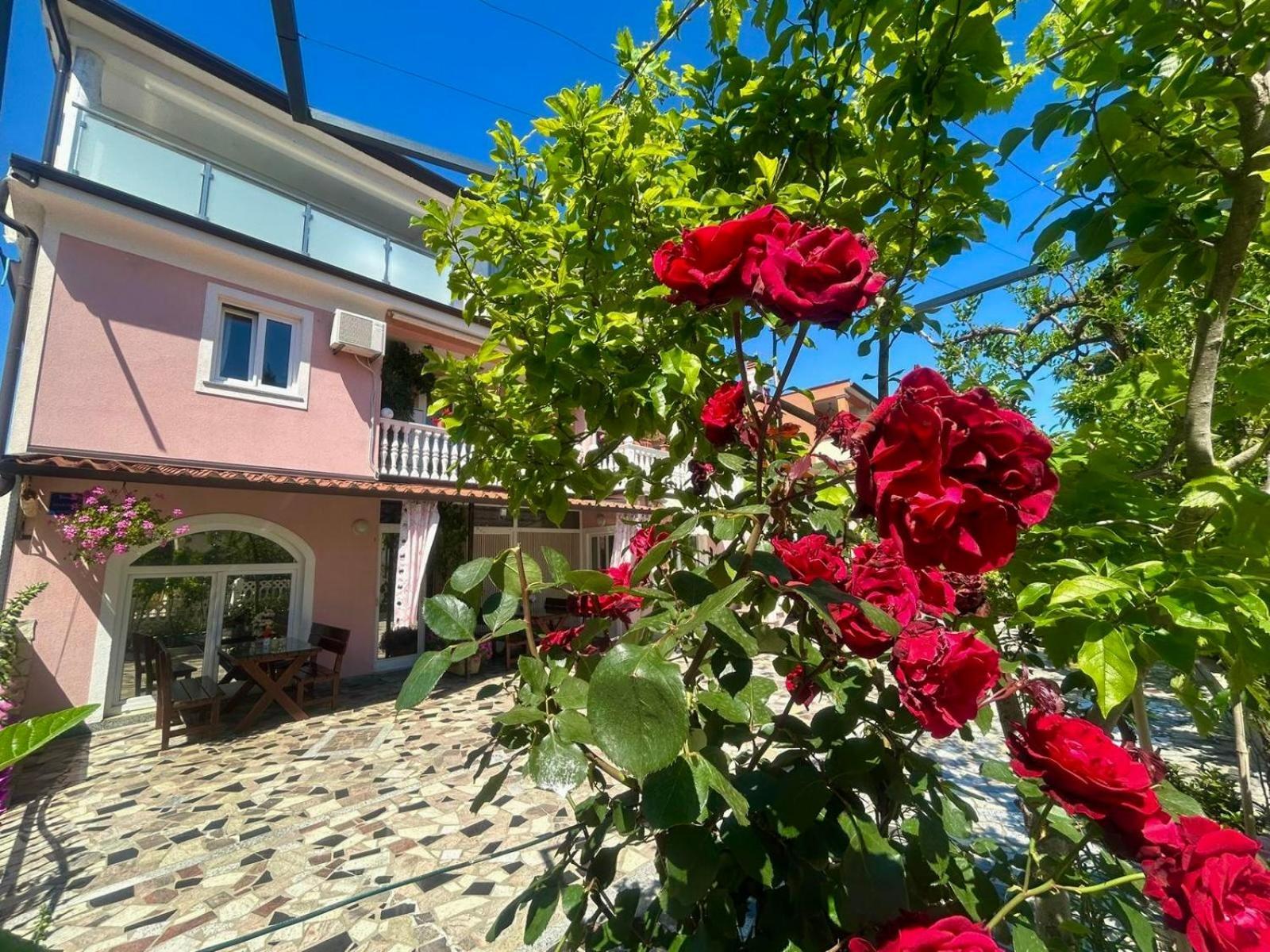 Apartments Tereza Novigrad Istria Εξωτερικό φωτογραφία
